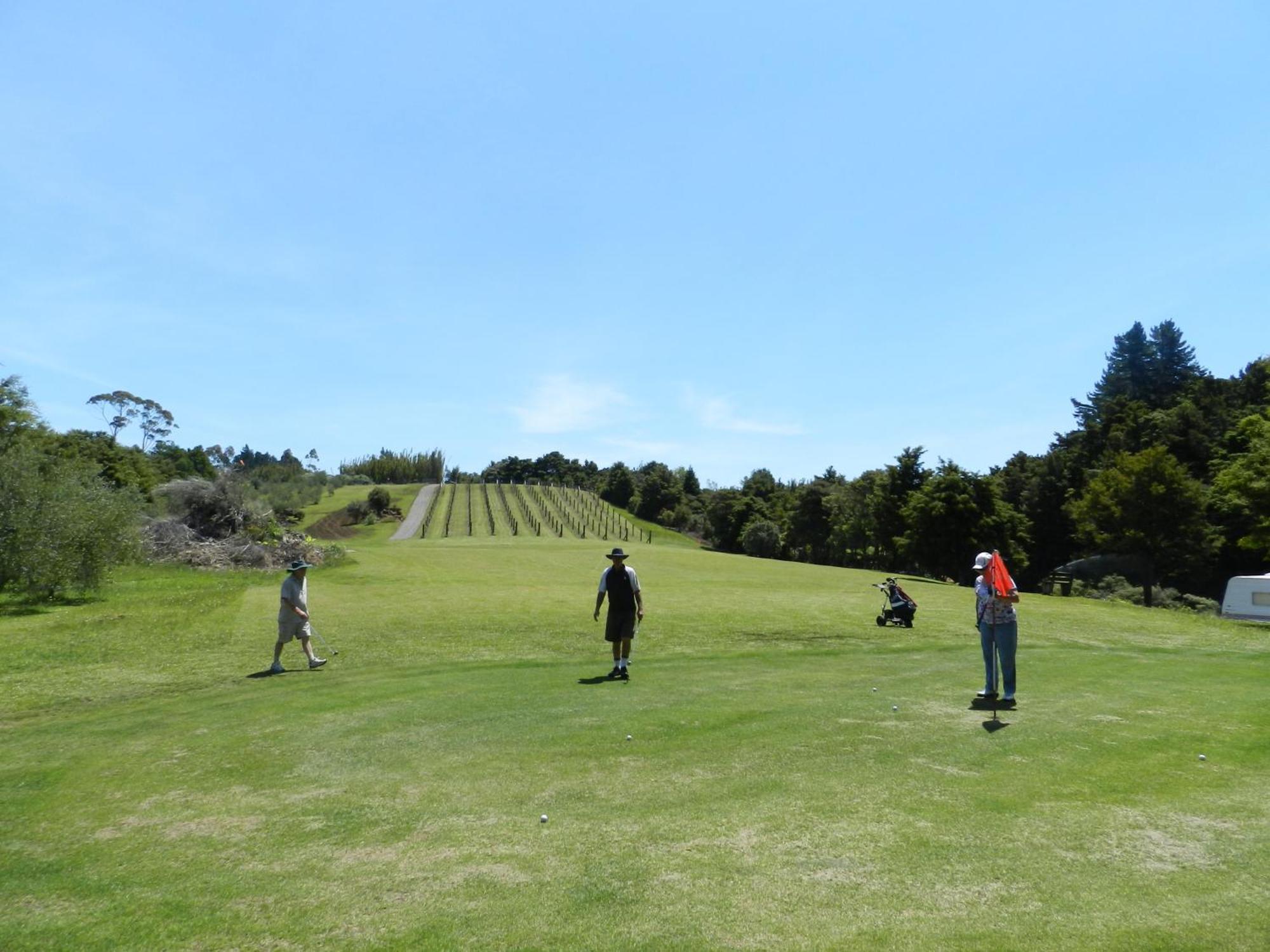 Puketotara Lodge ケリケリ エクステリア 写真